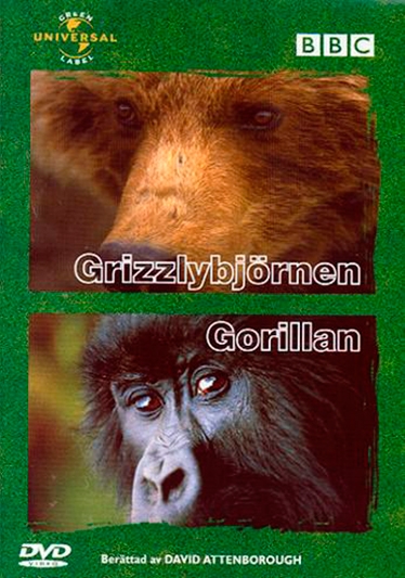 Gråbjørnen + Gorillaen [DVD]