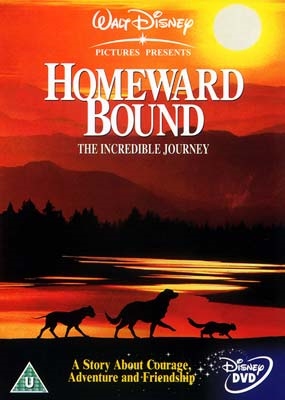 Den fantastiske hjemrejse (1993) [DVD IMPORT - UDEN DK TEKST]