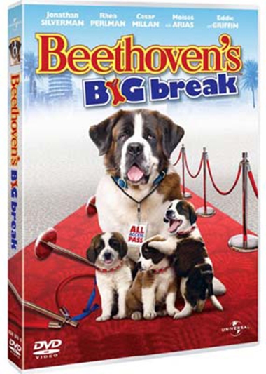 Beethoven\'s Big Break (2008) [DVD]
