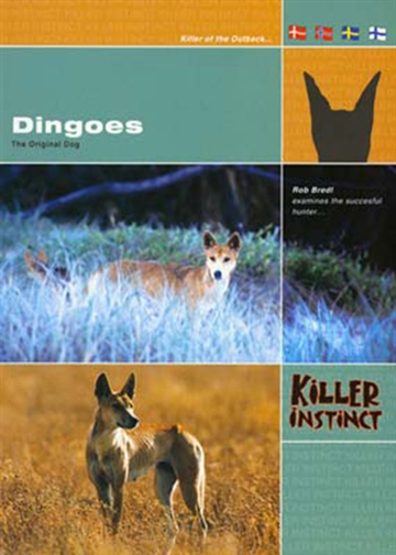 Dingoer [DVD]