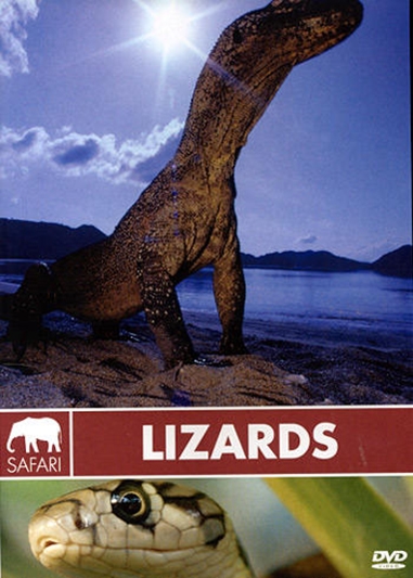 Lizards [DVD]
