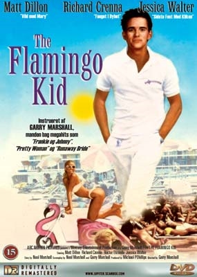 FLAMINGO KID, THE [DVD]