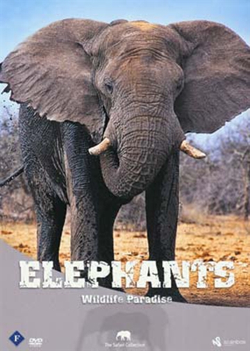 Elefanter [DVD]