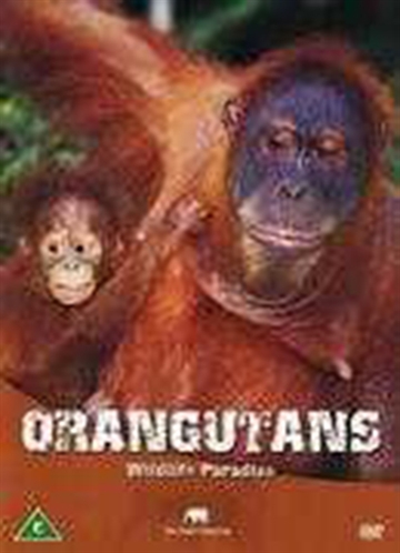 Orangutans [DVD]