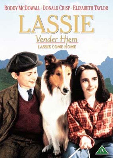 Lassie vender Hjem (1943) [DVD]