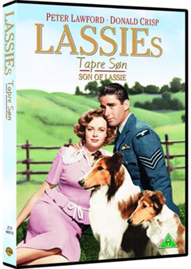 Lassie's tapre søn (1945) [DVD]