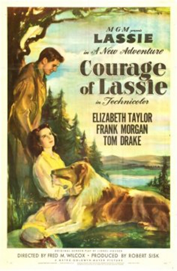 Lassie's bedrifter (1946) [DVD]