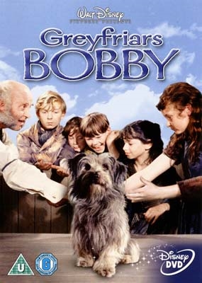 En sand historie om en hund (1961) [DVD]